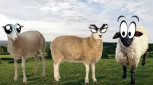 Crazy Cattle 3D +