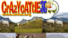 Crazy Cattle 3D