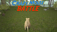 Crazy Mouse Battle