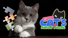 Cute Cats Jigsaw Puzzle