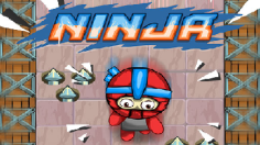 Ninja