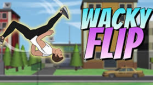 Wacky Flip